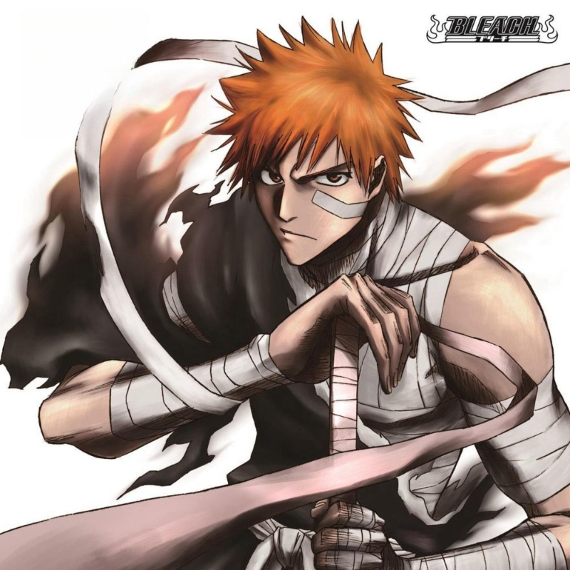 Game Bleach Sagisu Shiro Music - Party Games Box reseña y precio